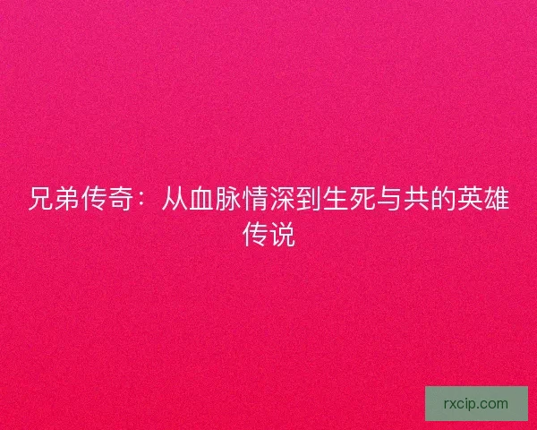 兄弟传奇：从血脉情深到生死与共的英雄传说